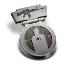 Icon for ASSAULT RIFLE - 3RD CLASS