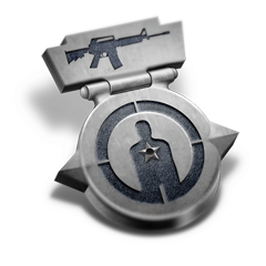 Icon for ASSAULT RIFLE - 2ND CLASS