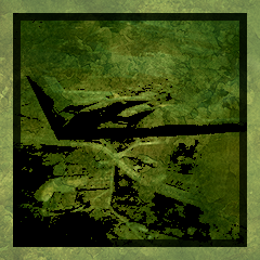 Icon for Bomber Master