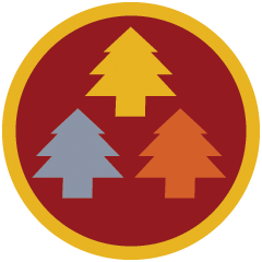 Icon for Merit Badge Champion