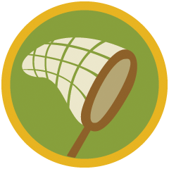 Icon for Bug Hunting Badge