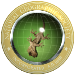 Icon for Nat Geo Researcher