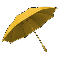 Icon for Weather Report