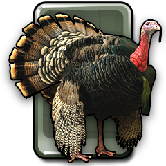 Icon for Turkey Hunter