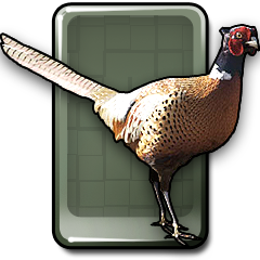 Icon for Pheasant Hunter