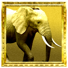 Icon for Complete Animal Encyclopedia