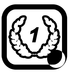 Icon for Record breaker