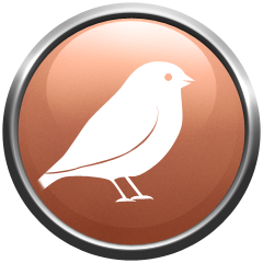 Icon for Birdie