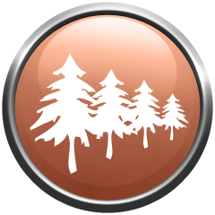 Icon for McIntosh Forest Challenge