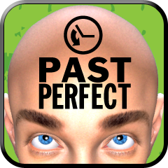 Icon for Past Perfect