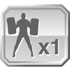 Icon for Flawless Fighter