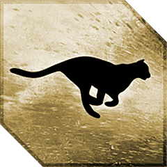 Icon for Cheetah