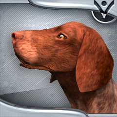 Icon for Man's best friend