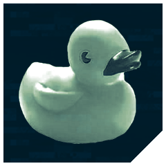 Icon for Rubber Duck