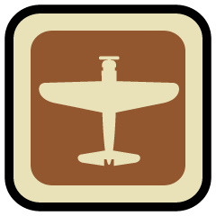 Icon for Pilot gold medal