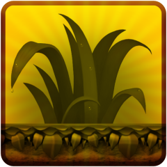 Icon for Forest Falls