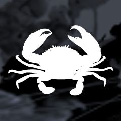 Icon for Crab Cakes