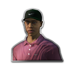 Icon for Tiger Slam