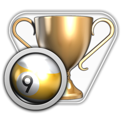 Icon for 9 Ball Champion