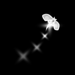 Icon for Flight of the Moth