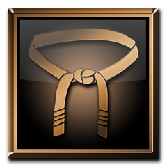 Icon for Tournament Fighter