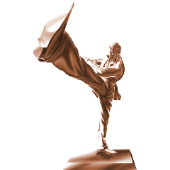 Icon for 一網打尽