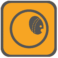 Icon for Eye of the Tiger