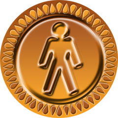 Icon for Bronze Award