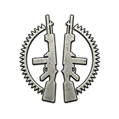 Icon for Dual-wield expert