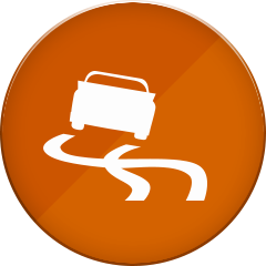 Icon for Expert Racer