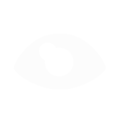 Icon for Eye for an Eye