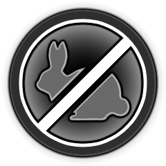 Not A Rabbit