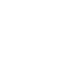 Icon for 100%