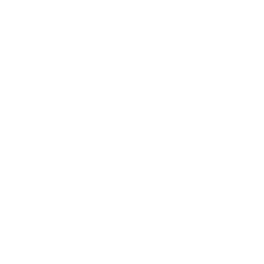 Icon for Survive 10