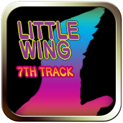 Icon for Little Wing