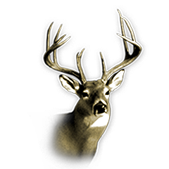 Icon for 150 score Whitetail Buck harvest