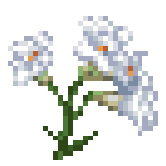 Icon for 高嶺の花