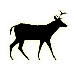 Icon for 2nd buck harvest