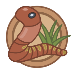 Icon for Slow and Steady