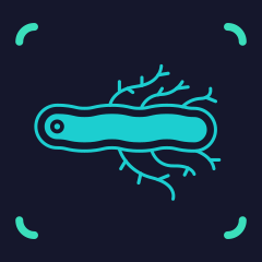 Icon for The Aquatic Life