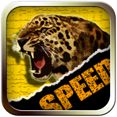 Icon for All Work and No Play