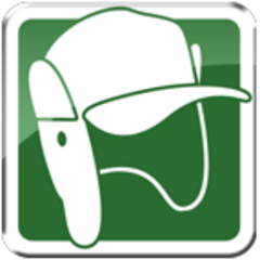 Icon for Bonus Perfectionist