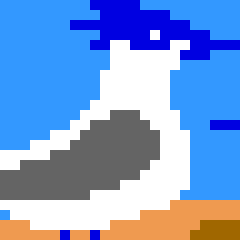 Icon for Block of Seagulls