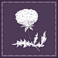 Icon for Keeper of the Forest