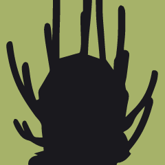 Icon for Basin Expert