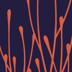 Icon for The Last Campfire