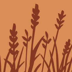 Icon for Grasslands Overlook