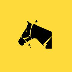 Icon for Horse Whisperer