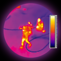 Icon for Like a Hell