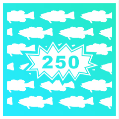 Icon for 250 Bass and no Drummer